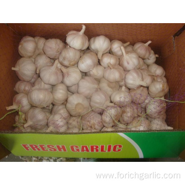 Good Normal White Garlic Packed In 10kg carton